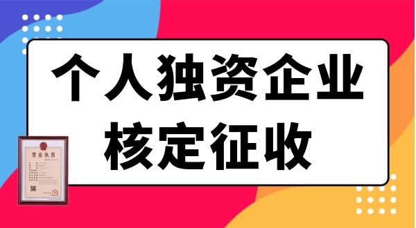 個(gè)人獨(dú)資企業(yè)需要繳哪些稅？個(gè)獨(dú)企業(yè)有什么優(yōu)惠政策